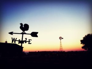 Weather vane at sunrise