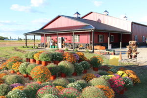 Shelly’s Shop exterior