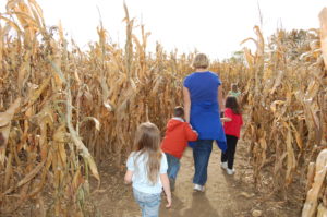 8 Acre Corn Maze