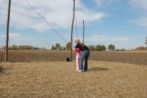 Pumpkin slingshot and target