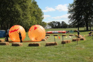Pumpkin Zorb Balls