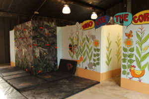 Animal Track Maze and Climbing Wall