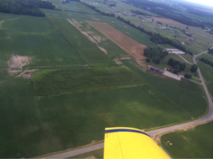 Arial view of corn maze
