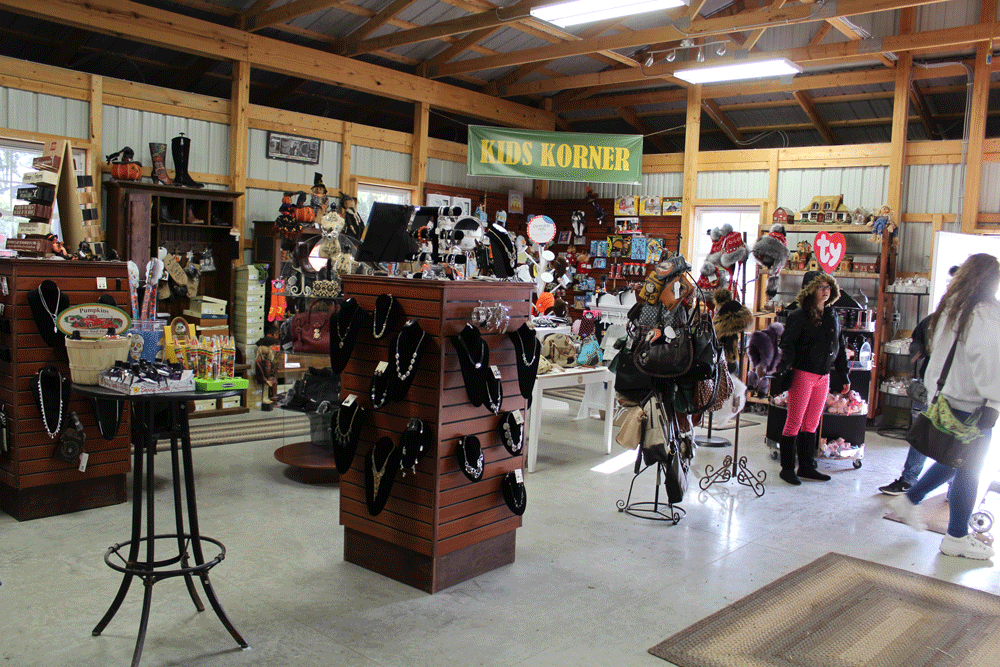 Shelly's Shop Interior