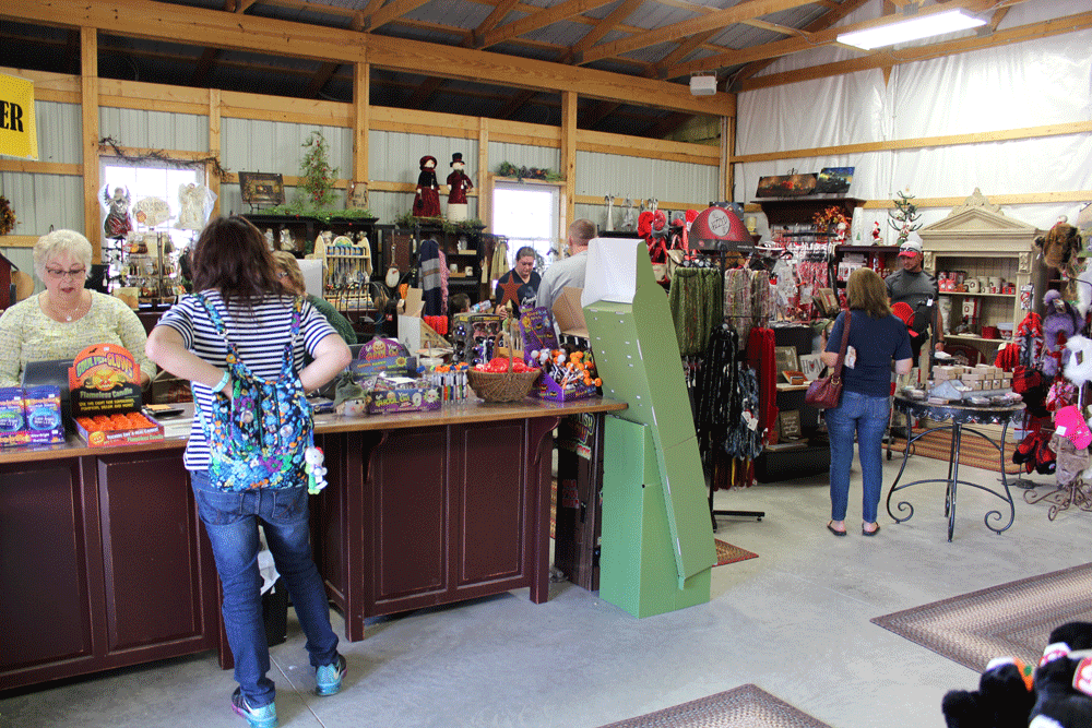 Shelly's Shop Counter