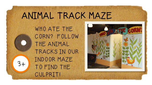 Weeknight Activity button