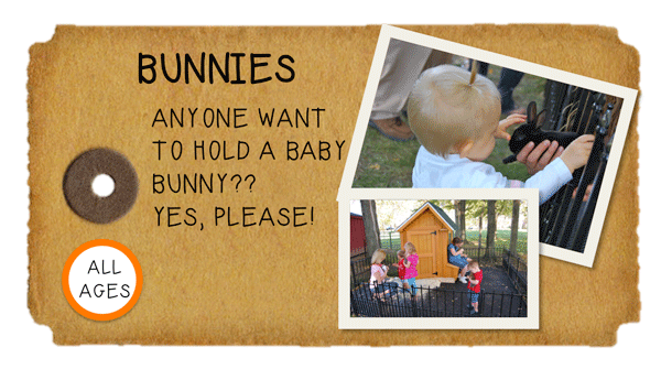 Weeknight Activity button