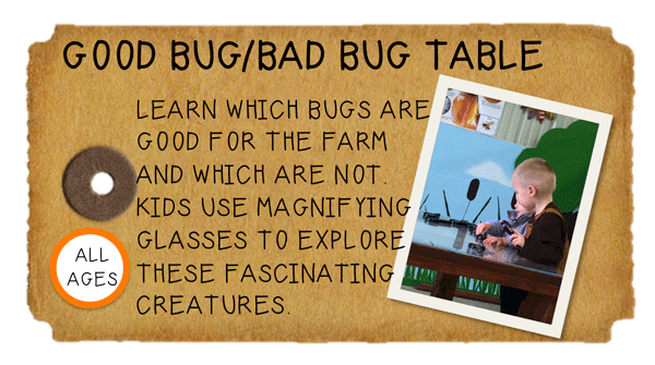 Weeknight Activity button