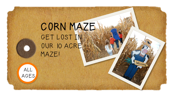 Weeknight Activity button