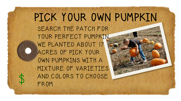 Weeknight Activity button