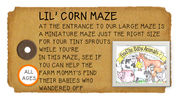 Weeknight Activity button