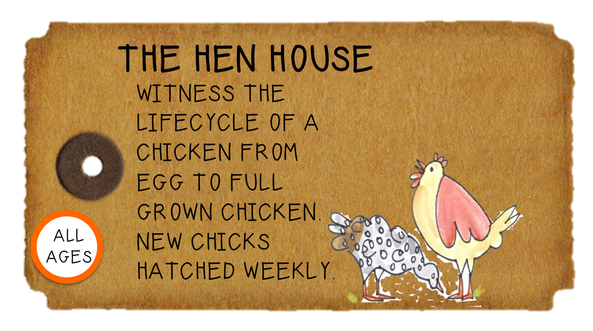 Weeknight Activity button