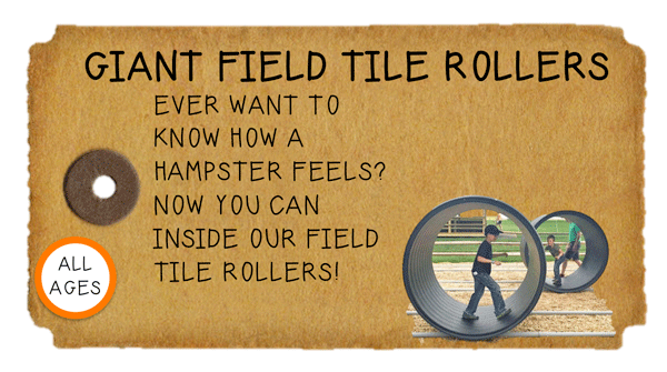 Weeknight Activity button