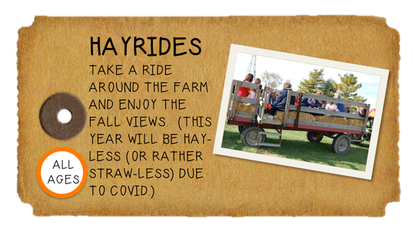 Weeknight Activity button