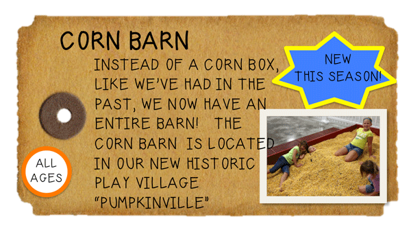 Weeknight Activity button