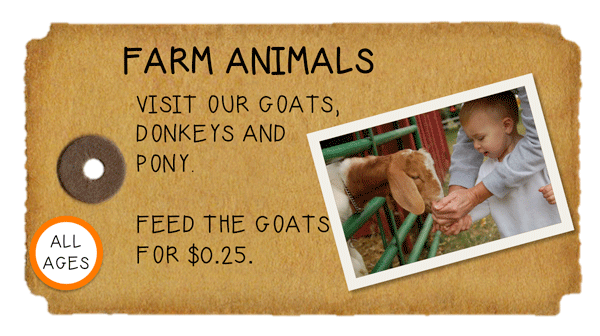 Weeknight Activity button